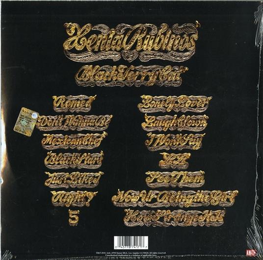 Black Terry Cat - Vinile LP di Xenia Rubinos - 2