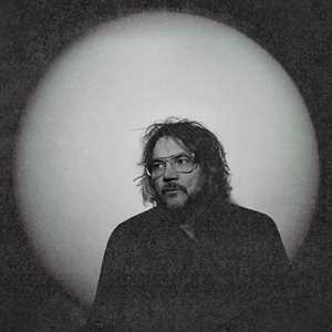 Vinile Twilight Override Jeff Tweedy
