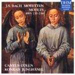 Mottetti - CD Audio di Johann Sebastian Bach,Cantus Cölln