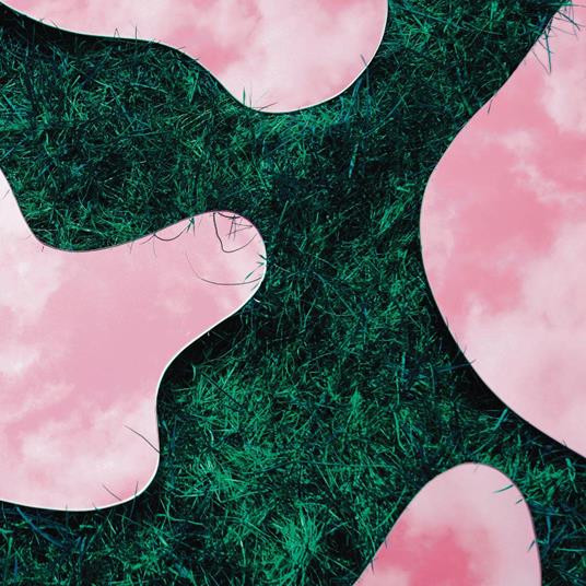 &Co - Vinile LP di Lee Paradise