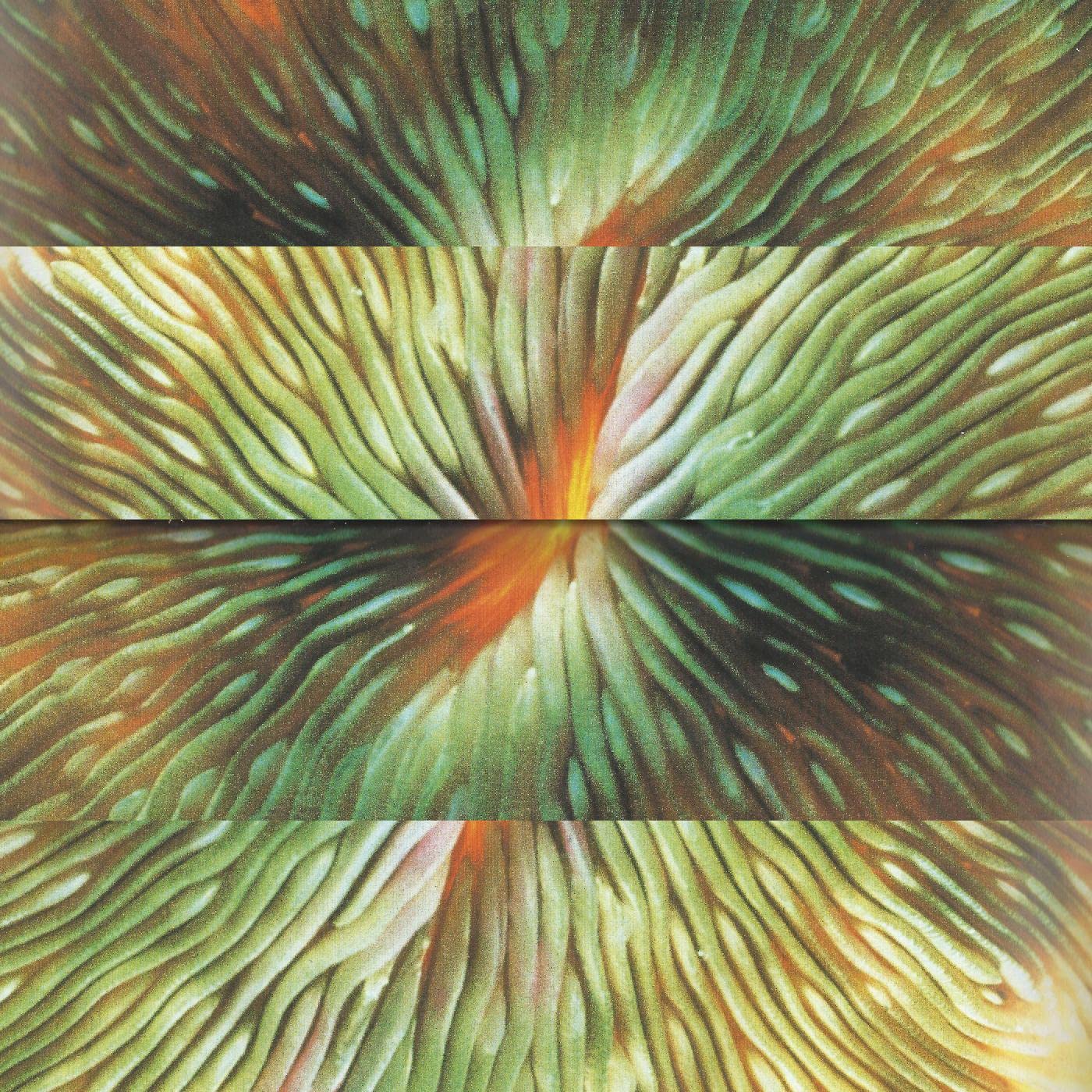 ibs