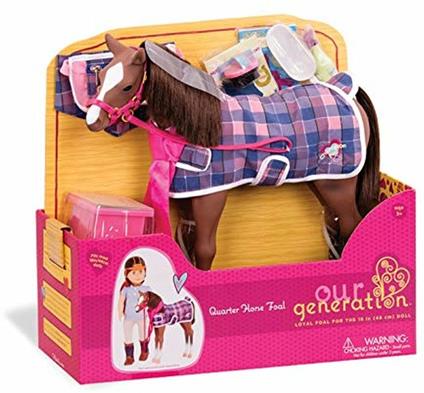 Cavalli - Quarter Horse Foal