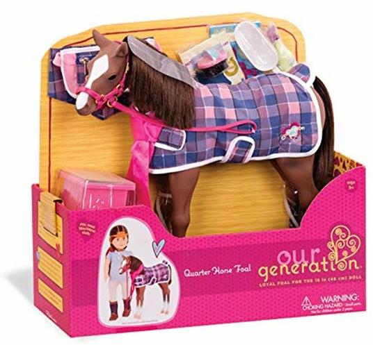 Cavalli - Quarter Horse Foal