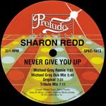Never Give You Up (Michael Grey Remix)