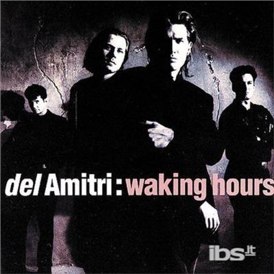 Waking Hours - CD Audio di Del Amitri