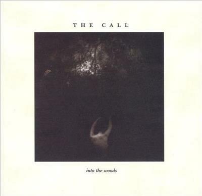Into The Woods - Vinile LP di Call