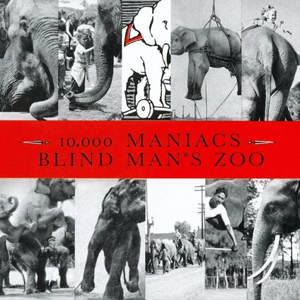 Blind Man's Zoo - CD Audio di 10.000 Maniacs
