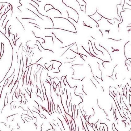 Voices Of Bishara - CD Audio di Tom Skinner