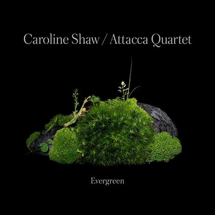 Evergreen - CD Audio di Caroline Shaw,Attacca Quartet
