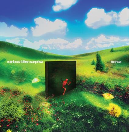Bones - Vinile LP di Rainbow Kitten Surprise