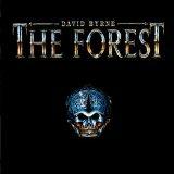 The Forest - CD Audio di David Byrne