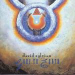 Gone to Earth - CD Audio di David Sylvian