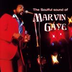 Soulful Sounds Of Marvin Gaye