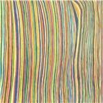 Nipomo - CD Audio di DVA