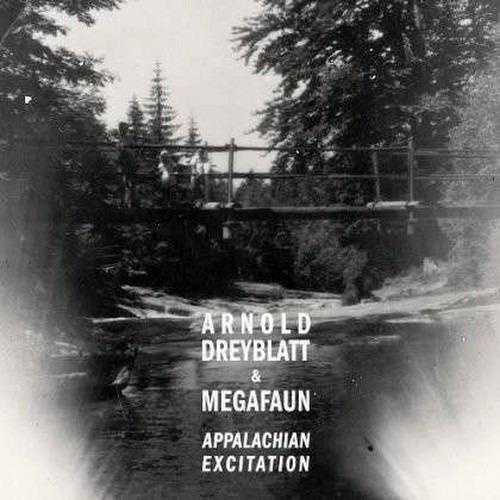 Appalachian Excitation - Vinile LP di Arnold Dreyblatt