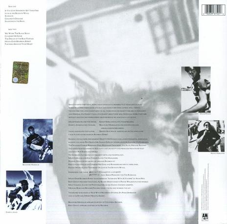 The Dream of the Blue Turtle - Vinile LP di Sting - 2