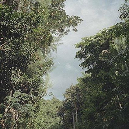 New Once - Vinile LP di Zac Nelson