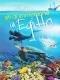 Siti di immersione in Egitto - DVD