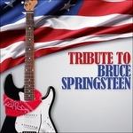Tribute to Bruce Springsteen