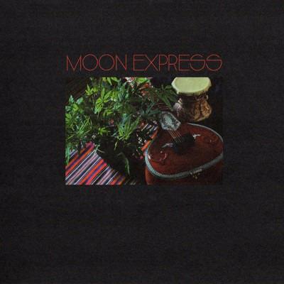 Prophetic Spirit - Vinile LP di Moon Express