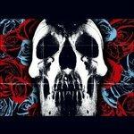 Deftones - Vinile LP di Deftones