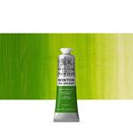 Colore A Olio Winton Winsor & Newton 37ml – Verde Di Cromo Imitazione