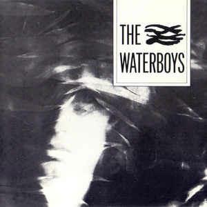 The Waterboys - CD Audio di Waterboys