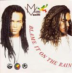 Blame It On The Rain