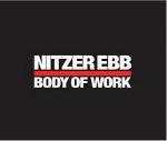 Body of Work