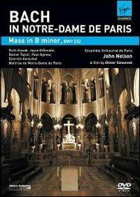 Johann Sebastian Bach. In Notre-Dame de Paris. Mass in B minor (DVD) - DVD di Johann Sebastian Bach,Ruth Ziesak