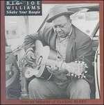 Shake Your Boogie - CD Audio di Big Joe Williams