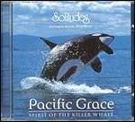 Pacific Grace - CD Audio di Jimmy Brandmeier