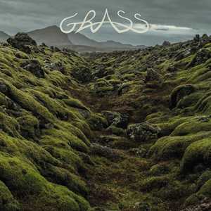 Vinile Grass Grass