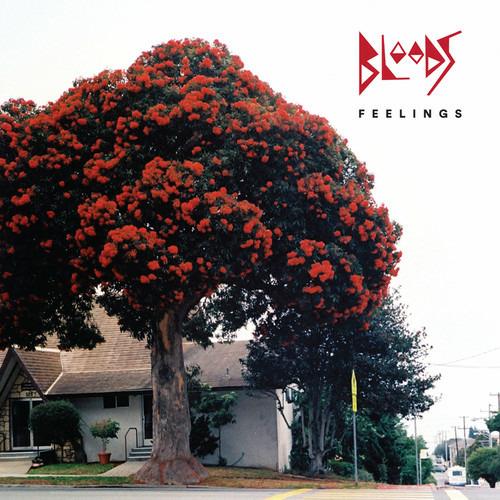 Feelings - CD Audio di Bloods