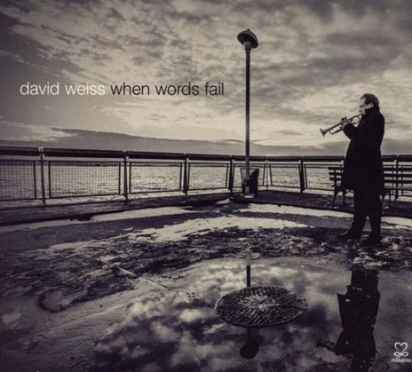 When Words Fail - CD Audio di David Weiss