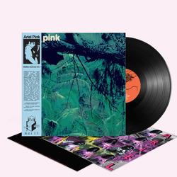 Odditties Sodomies vol.3 - Vinile LP di Ariel Pink