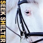 Seek Shelter (Coloured Vinyl)