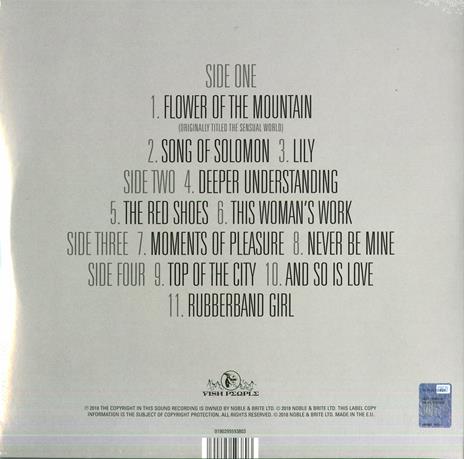 Director's Cut (Colonna Sonora) - Vinile LP di Kate Bush - 2