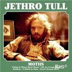 Moths (Limited Edition)