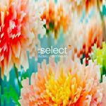 Global Underground Select n.5