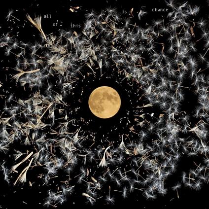 All Of This Is Chance - Vinile LP di Lisa O'Neill