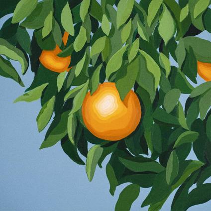 For The First Time Again - CD Audio di Tyler Ballgame