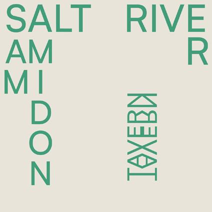 Salt River - Vinile LP di Sam Amidon