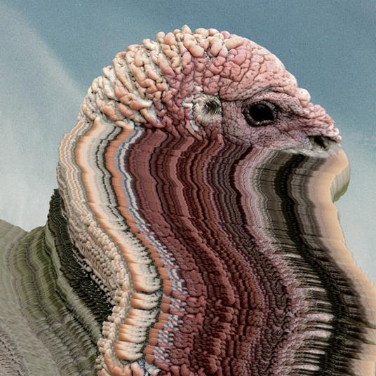 Bird Brains - Vinile LP di Holy Fuck