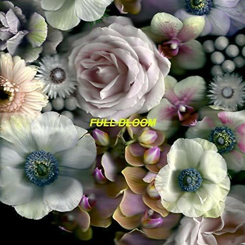 Full Bloom - Vinile LP di Alpines