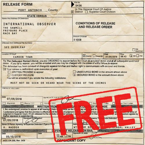 Free from the Dungeons - CD Audio di International Observer