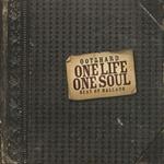 One Life One Soul