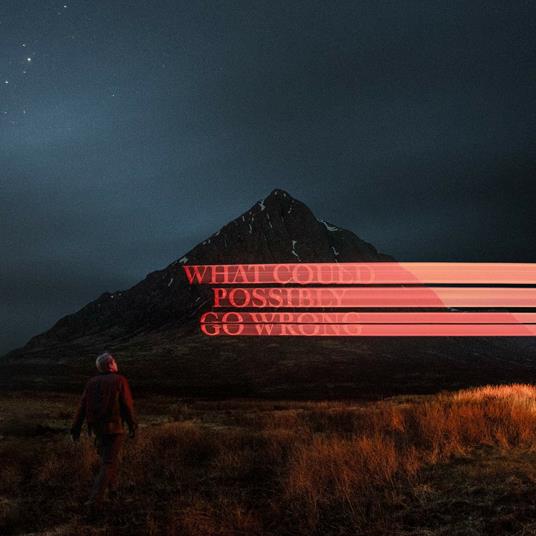 What Could Possibly Go Wrong - Vinile LP di Dominic Fike