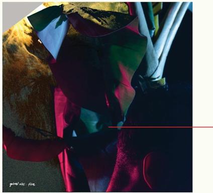 Flore - CD Audio di Gabriel Rios