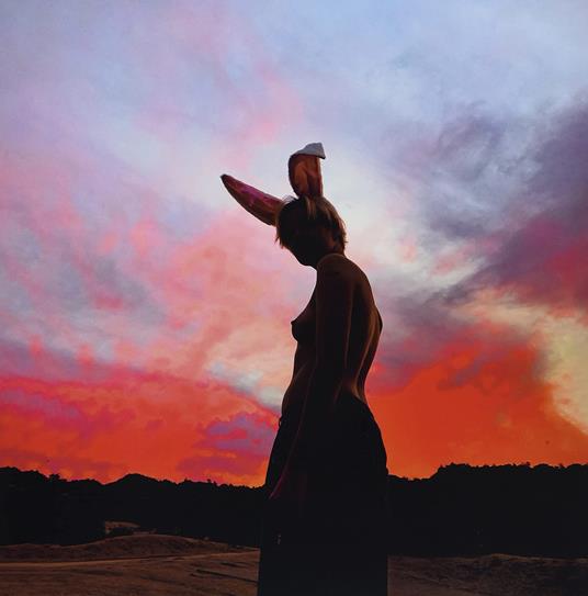 Sky Is Bleeding - Vinile LP di Biig Piig